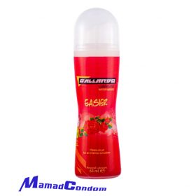 GALLARDO EASIER Lubricant