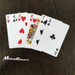 پاسور (کارت ورق بازی) خارجی مدل Apple - تصویر 2